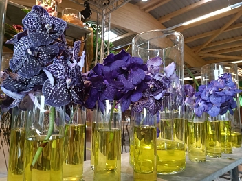 Dekoratives für kleines Geld gibt es beim Flohmarkt in der Blumenhalle der Landesgartenschau in Höxter.&nbsp;&copy;&nbsp;Landesgartenschau Höxter 2023 gGmbH